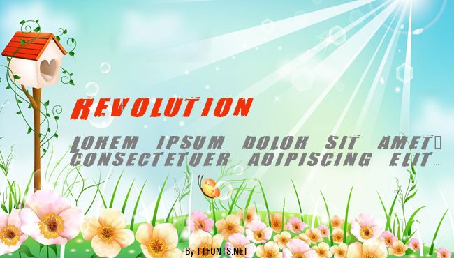 Revolution example