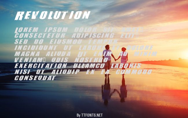 Revolution example