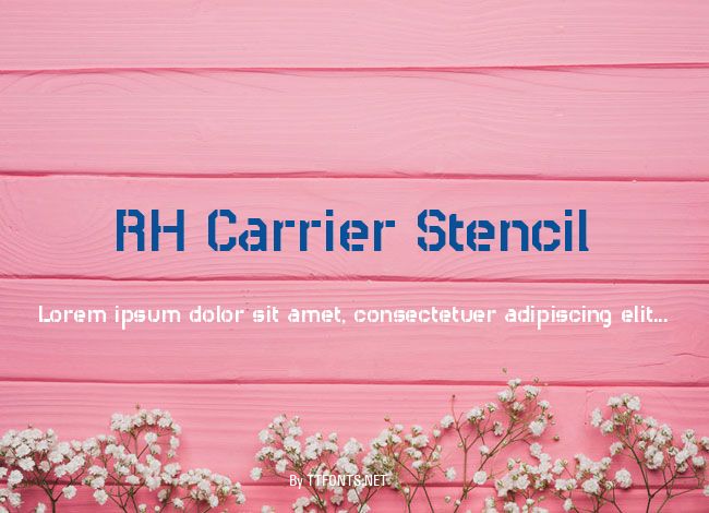 RH Carrier Stencil example