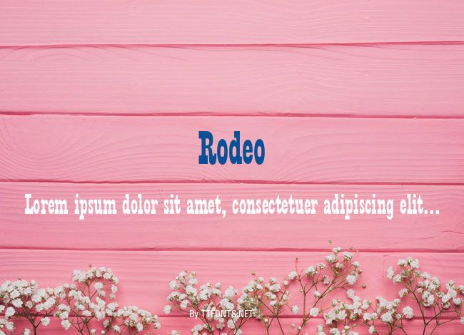 Rodeo example