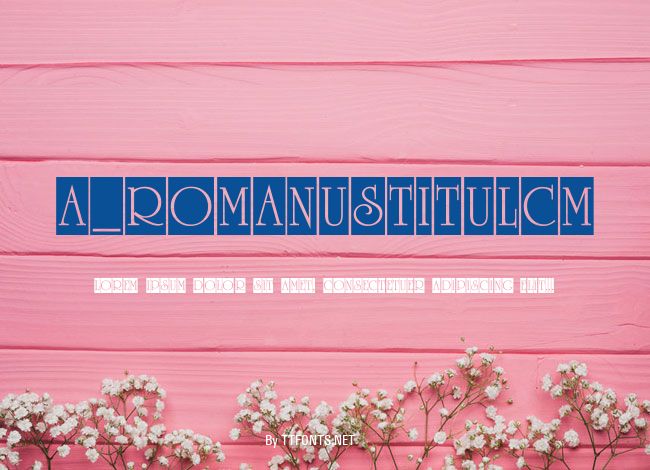 a_RomanusTitulCm example
