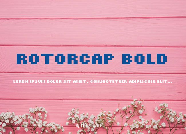 ROTORcap Bold example