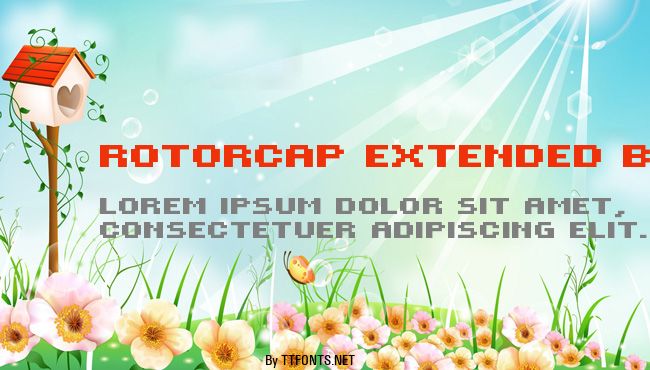 ROTORcap Extended Bold example