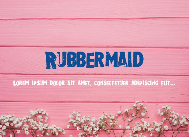 Rubbermaid example