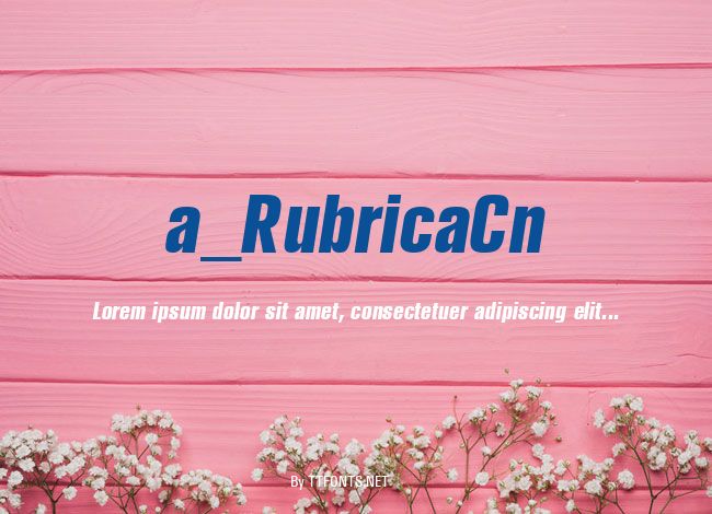 a_RubricaCn example