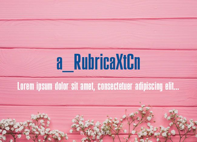 a_RubricaXtCn example