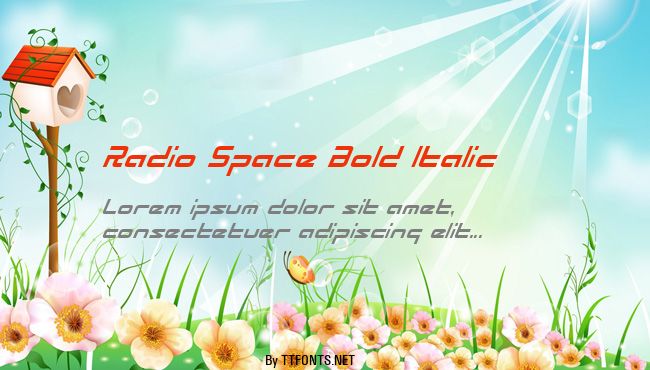 Radio Space Bold Italic example
