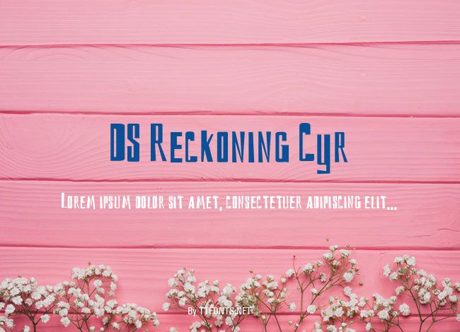 DS Reckoning Cyr example