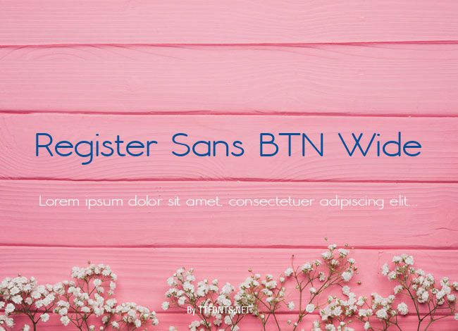 Register Sans BTN Wide example