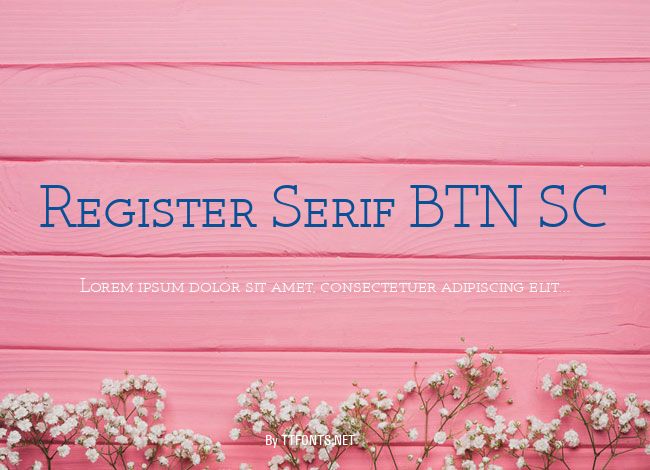 Register Serif BTN SC example
