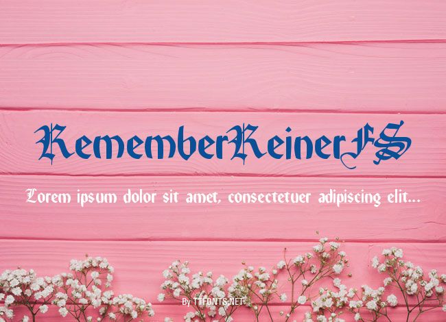 RememberReinerFS example