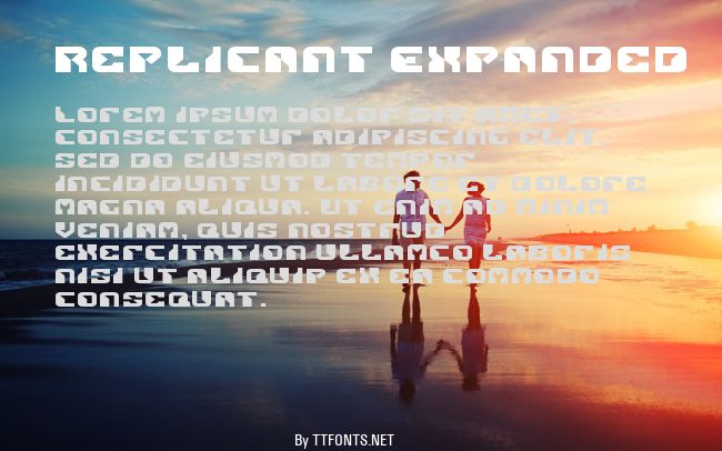 Replicant Expanded example