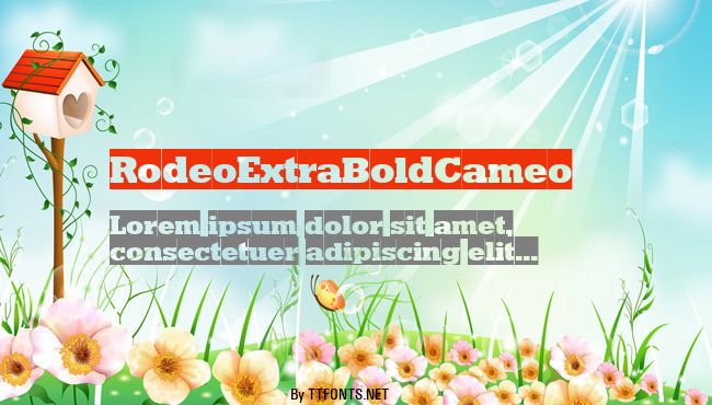 RodeoExtraBoldCameo example