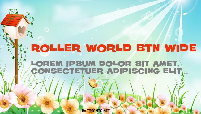 Roller World BTN Wide example