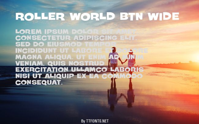 Roller World BTN Wide example