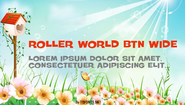 Roller World BTN Wide example