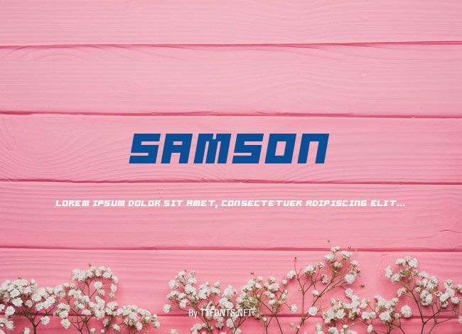 Samson example