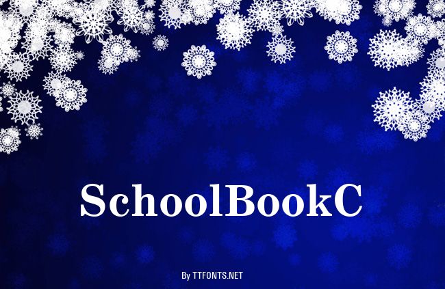SchoolBookC example