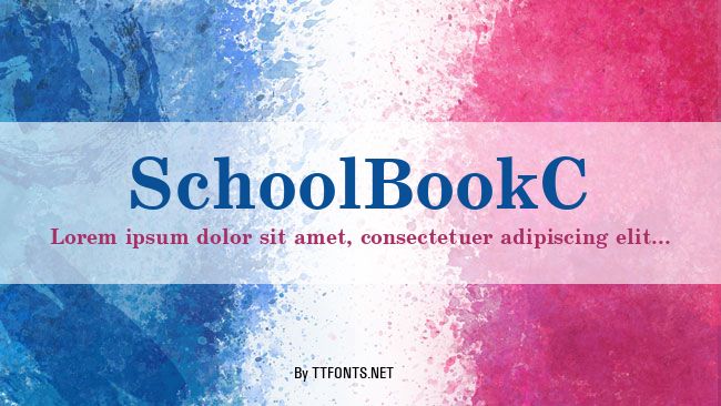 SchoolBookC example