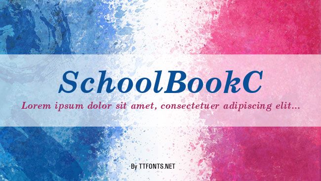 SchoolBookC example