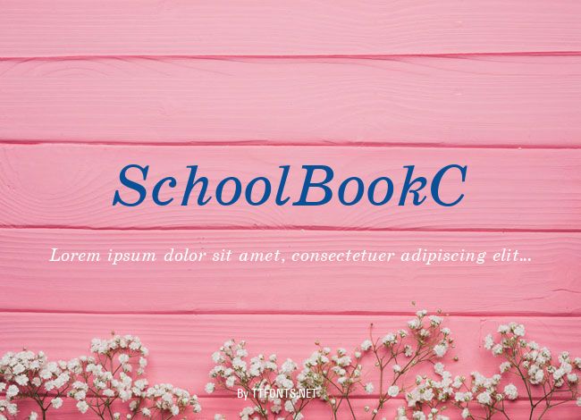 SchoolBookC example