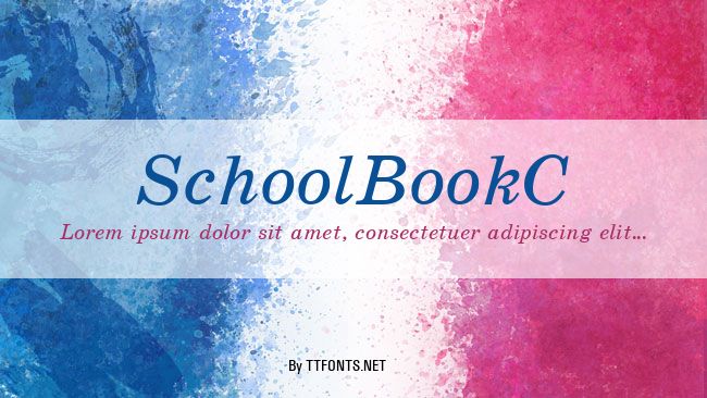 SchoolBookC example