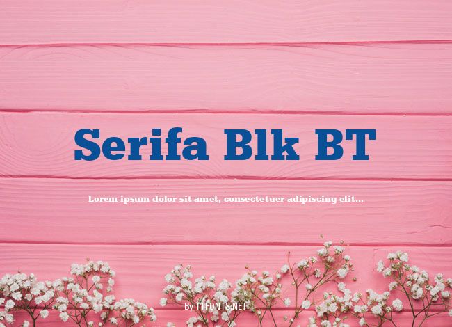 Serifa Blk BT example