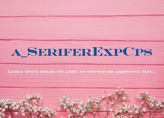 a_SeriferExpCps example