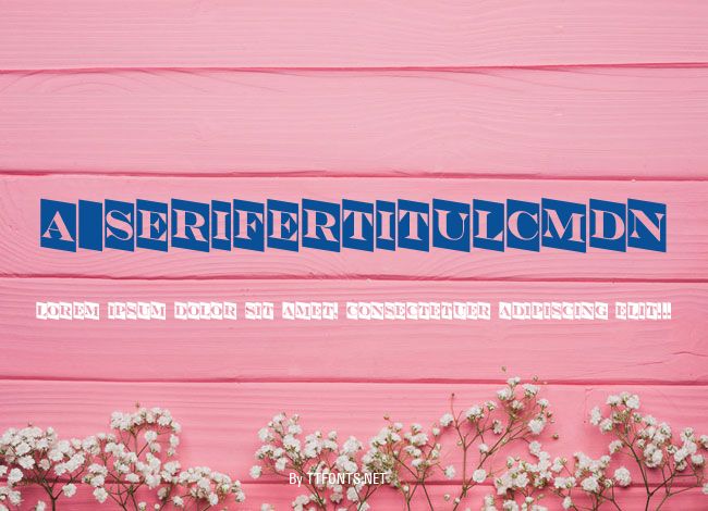 a_SeriferTitulCmDn example
