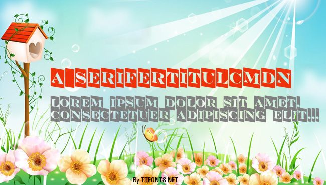 a_SeriferTitulCmDn example