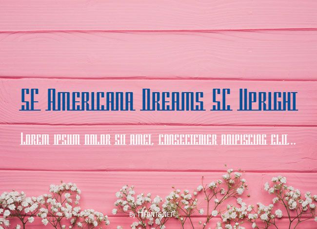 SF Americana Dreams SC Upright example