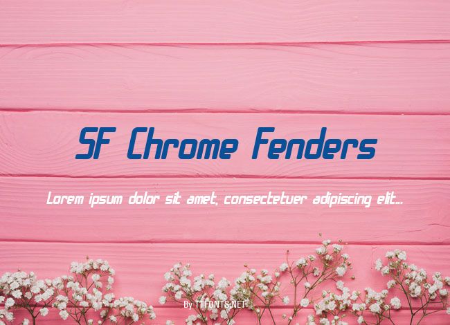 SF Chrome Fenders example