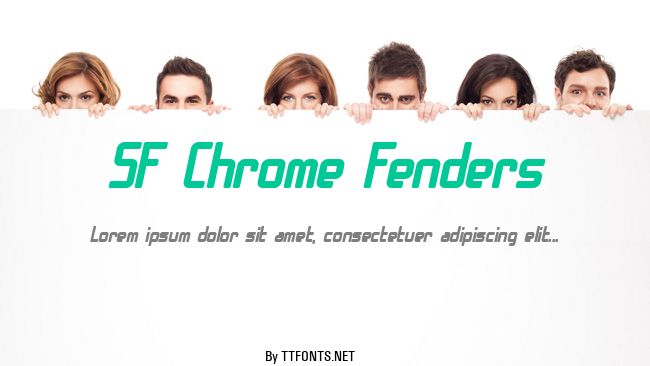 SF Chrome Fenders example