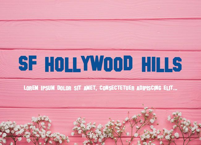 SF Hollywood Hills example