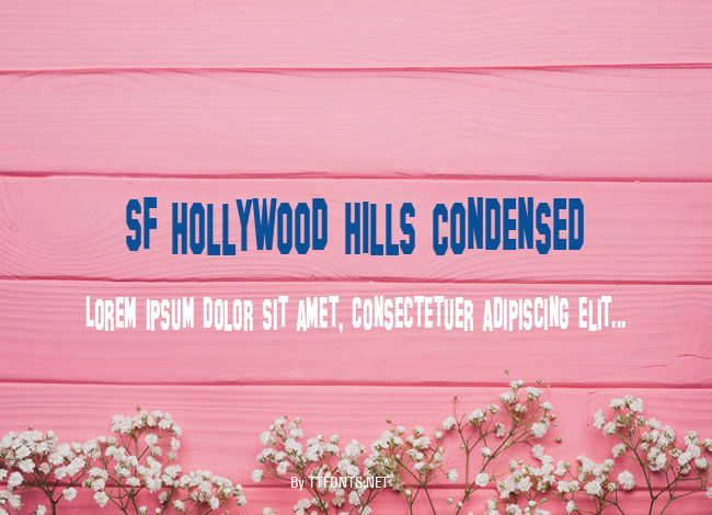 SF Hollywood Hills Condensed example