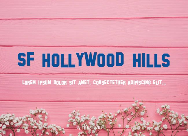 SF Hollywood Hills example