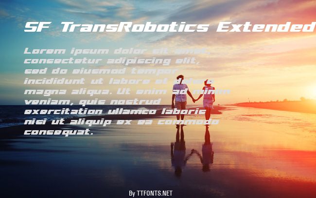 SF TransRobotics Extended example