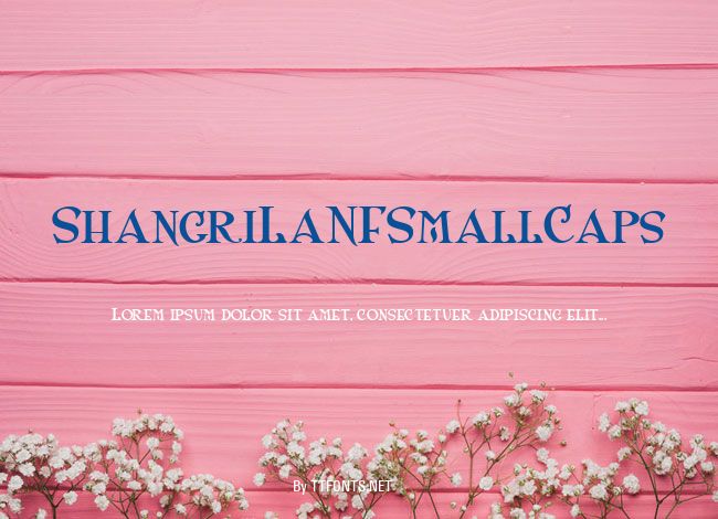 ShangriLaNFSmallCaps example