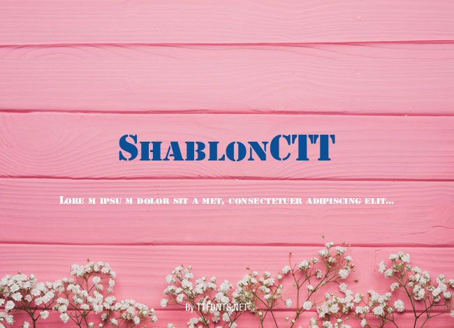 ShablonCTT example