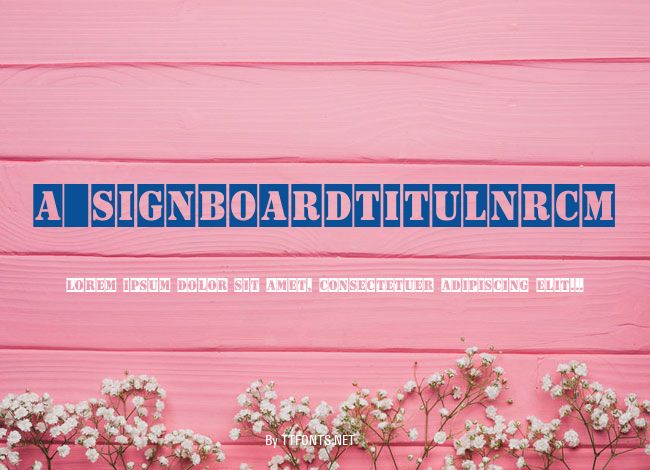 a_SignboardTitulNrCm example