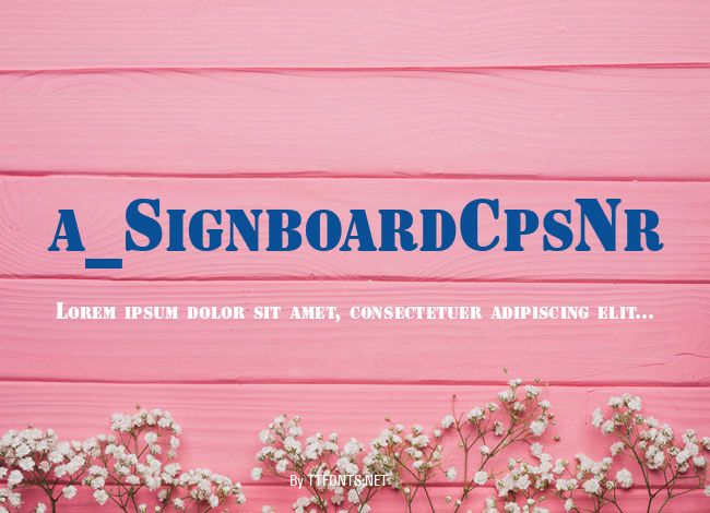 a_SignboardCpsNr example