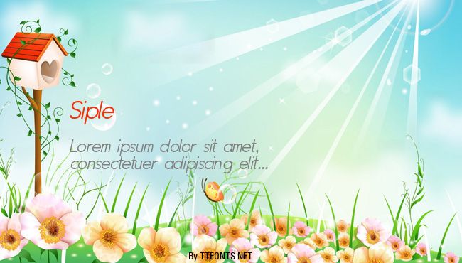 Siple example