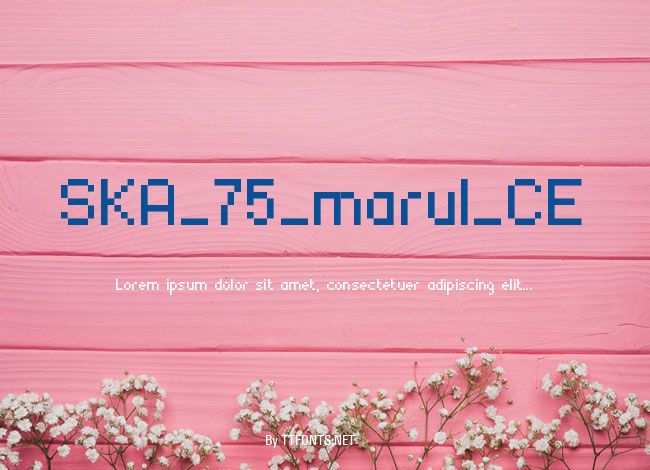 SKA_75_marul_CE example