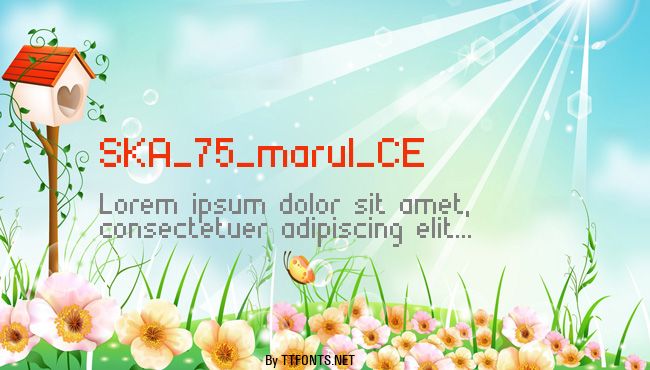 SKA_75_marul_CE example