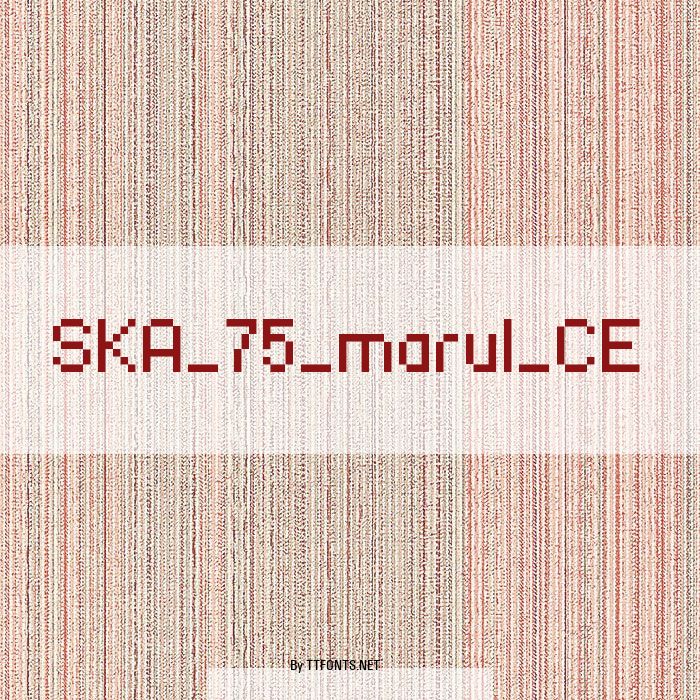SKA_75_marul_CE example