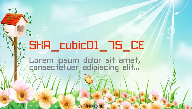 SKA_cubic01_75_CE example