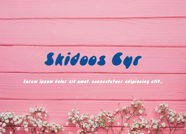 Skidoos Cyr example