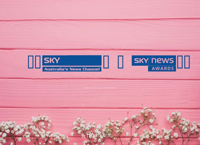 SKYfontnews example