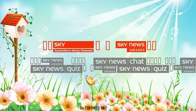 SKYfontnews example