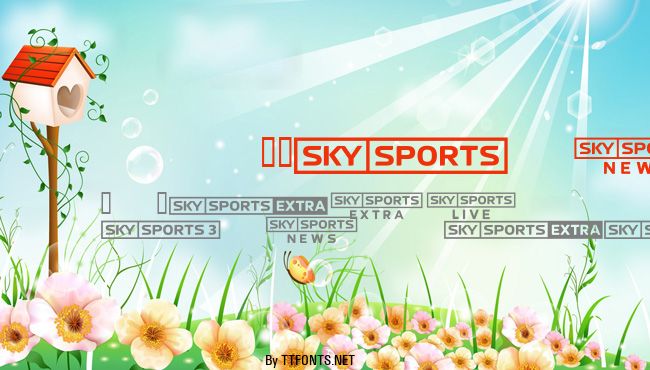 SKYfontsport example